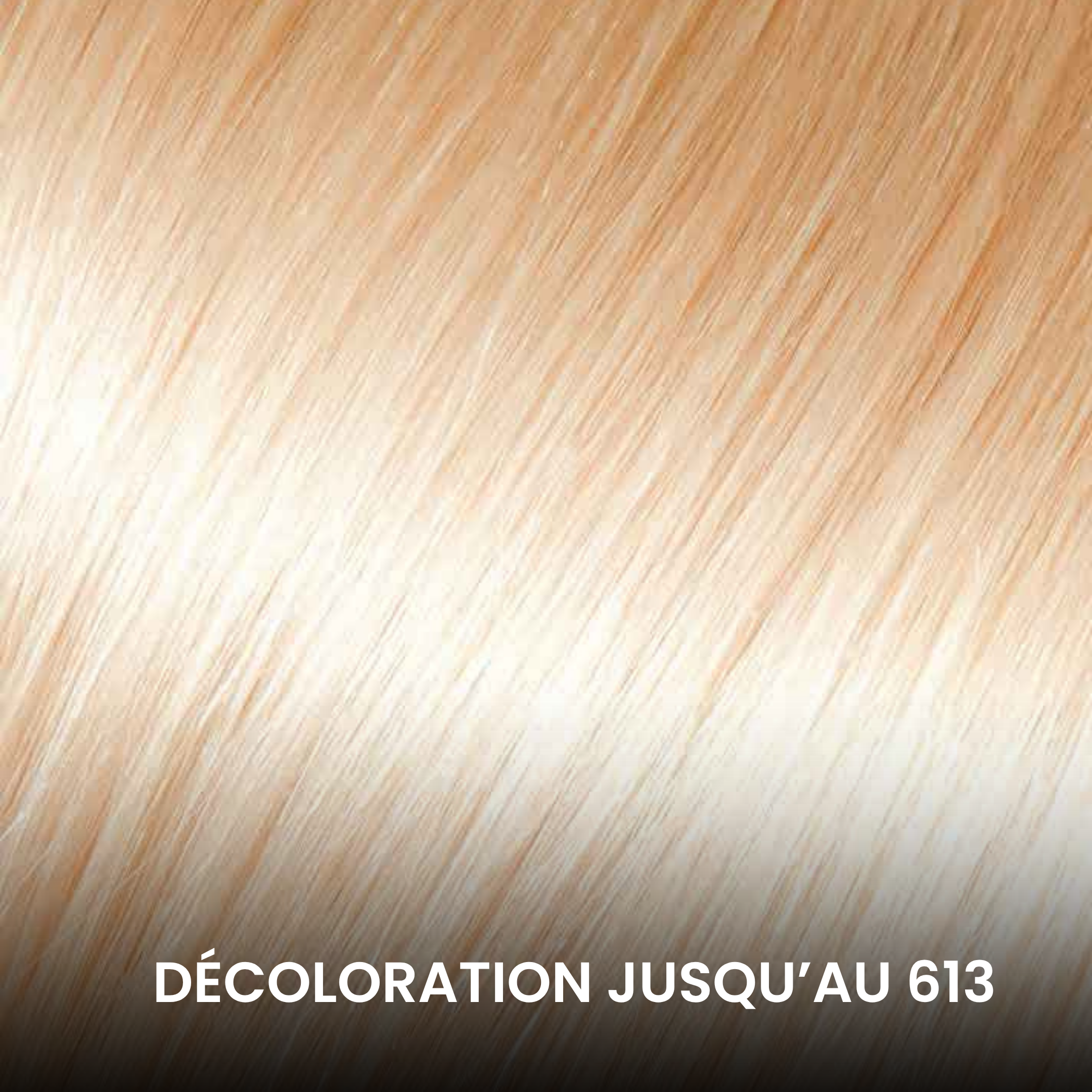 MÈCHES RAW HAIR ONE DONOR - VIETNAM